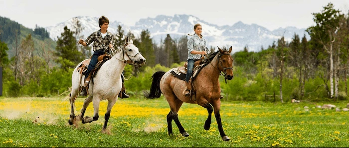 Confident plus-size woman riding Westcliff on Sea a horse through a field with a smile on her face.